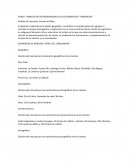 PUNO 5 “ANALISIS DE POTENCIONALIDAD DE LOS SEGMENTOS Y TENDENCIAS”