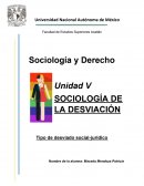 SOCIOLOGÍA DE LA DESVIACIÓN Tipo de desviado social-juridico