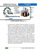 INGENIERÍA DE GAS Y PETROQUIMICA