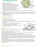 Biologia. EL NÚCLEO