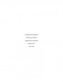 Evaluación de Desempeño. Capacitación y Desarrollo