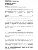 INCIDENTE DE NULIDAD STEEL