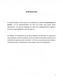 Descrpsiones puesto.docx