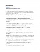 Esencias Naturales Aguacate