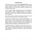 INFORME EMPRESA CUPCAKES FIESTAS