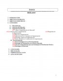 Selección, Segmentación, Posicionamiento en el Mercado