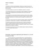 Caso de orgamizacopn sobre marketing