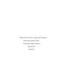 Impacto social, económico y político sobre el ambiente