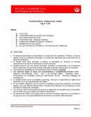 Excel PAUTAS PARA EL TRABAJO DEL CURSO