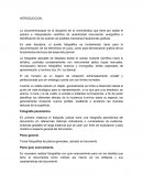 Practica documentoscopia