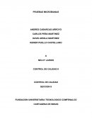 Los Mesofilos o Mesoaerobios