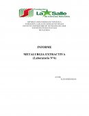 METALURGIA EXTRACTIVA (Laboratorio N°4