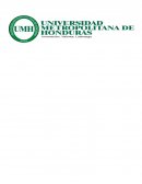 PROYECTO FINAL COMPORTAMIENTO ORGANIZACIONAL