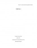 Carnaval de barranquilla. La pista de baile más grande del mundo