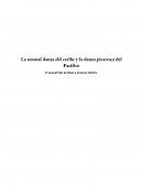Cultura del pacifico de nicaragua