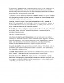 En mi opinión la logística inversa es importante para la empresa