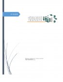 Ensayo "Una faceta desconocida de Einstein"