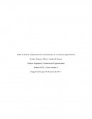 Importancia de la Comunicación en el contexto Organizacional