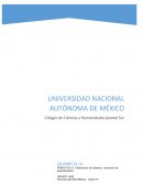 Quimica Los ésteres son un grupo de compuestos derivados de los ácidos carboxílicos y los alcoholes,