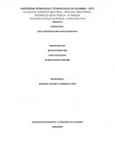 PRODUCTO PRODUCCION 1 “SUELA REMOVIBLE PARA ZAPATO DEPORTIVO”