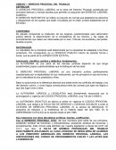 El DERECHO PROCESAL LABORAL es la rama del Derecho Procesal constituida por principios teóricos y normas escritas que permiten la actuación del DERECHO LABORAL sustantivo.