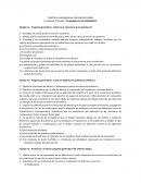 TEMÁTICA A DESARROLLAR POR EQUIPOS SOBRE