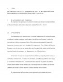 FACTORES QUE AFECTAN EL DESEMPEÑO DEL AREA DE RECURSOS HUMANOS DE LA EMPRESA AGENCIA DE ADUANAS SERINCE S.A. NIVEL 1