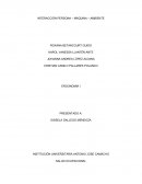 Símbolos, si se encuentra una puerta mal cerrada o indicar si no se ajustado el cinturón de seguridad.