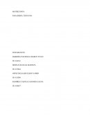 MATRIZ DOFA CORPORACIÓN UNIVERSITARIA MINUTO DE DIOS