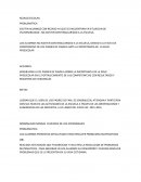 REZAGO ESCOLAR - PROBLEMÁTICA