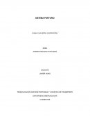 SISTEMA PORTUARIO ADMINISTRACION PORTUARIA