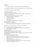 Informe de Servidores La empresa Computing s.a