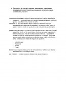 Trabajo 2 Descripción de giro de la empresa, antecedentes, organigrama, detalles de la función financiera