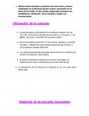 Práctica. Escuela Doctor Arturo Jauretche