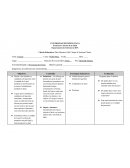 Plan de cuidado . Ulceras