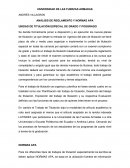 ANÁLISIS DE REGLAMENTO Y NORMAS APA