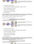 Evaluacion de biologia evolucion nivel medio