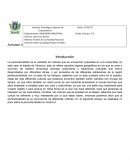 Pluriculturalidad en veracruz