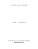 Revuelo de lo aprendido