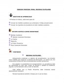 DERECHO PROCESAL PENAL: MEDIDAS CAUTELARES