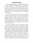 Profesionales de calidad