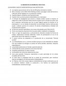 EL NEGOCIO DE LAS BURBUJAS: COCA COLA