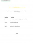 WORKING ADULT ADMINSTRACIÓN Y NEGOCIOS INTERNACIONALES