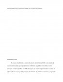 PAE EN PACIENTES POST-OPERADO EN COLECISTECTOMIA