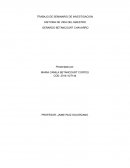 TRABAJO DE SEMINARIO DE INVESTIGACION HISTORIA DE VIDA DEL MAESTRO