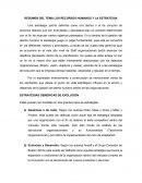 LOS RECURSOS HUMANOS Y LA ESTRATEGIA