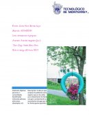 MIII-U3- Actividad integradora segunda fase