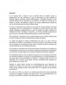 Discusion practica 1