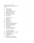 SISTEMA DE IMAGEN Y PAISAJE VULNERABILIDAD Y SISTEMAS DE RIESGO