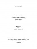 UNIDAD1 FASE2 Flor Huila